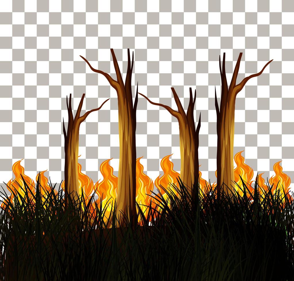 diseño aislado de incendios forestales vector