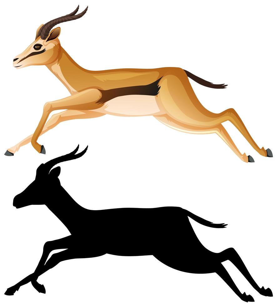 Gazelle cartoon character set vector