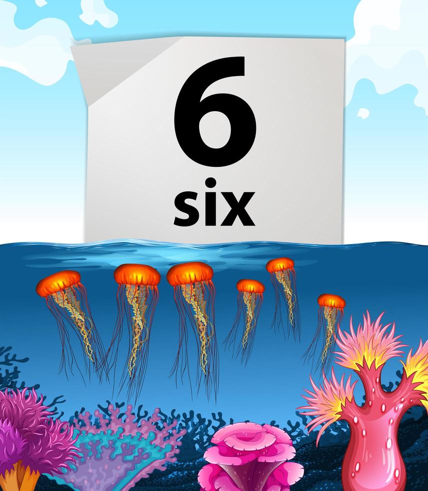 Number six and six jellyfish underwater vector