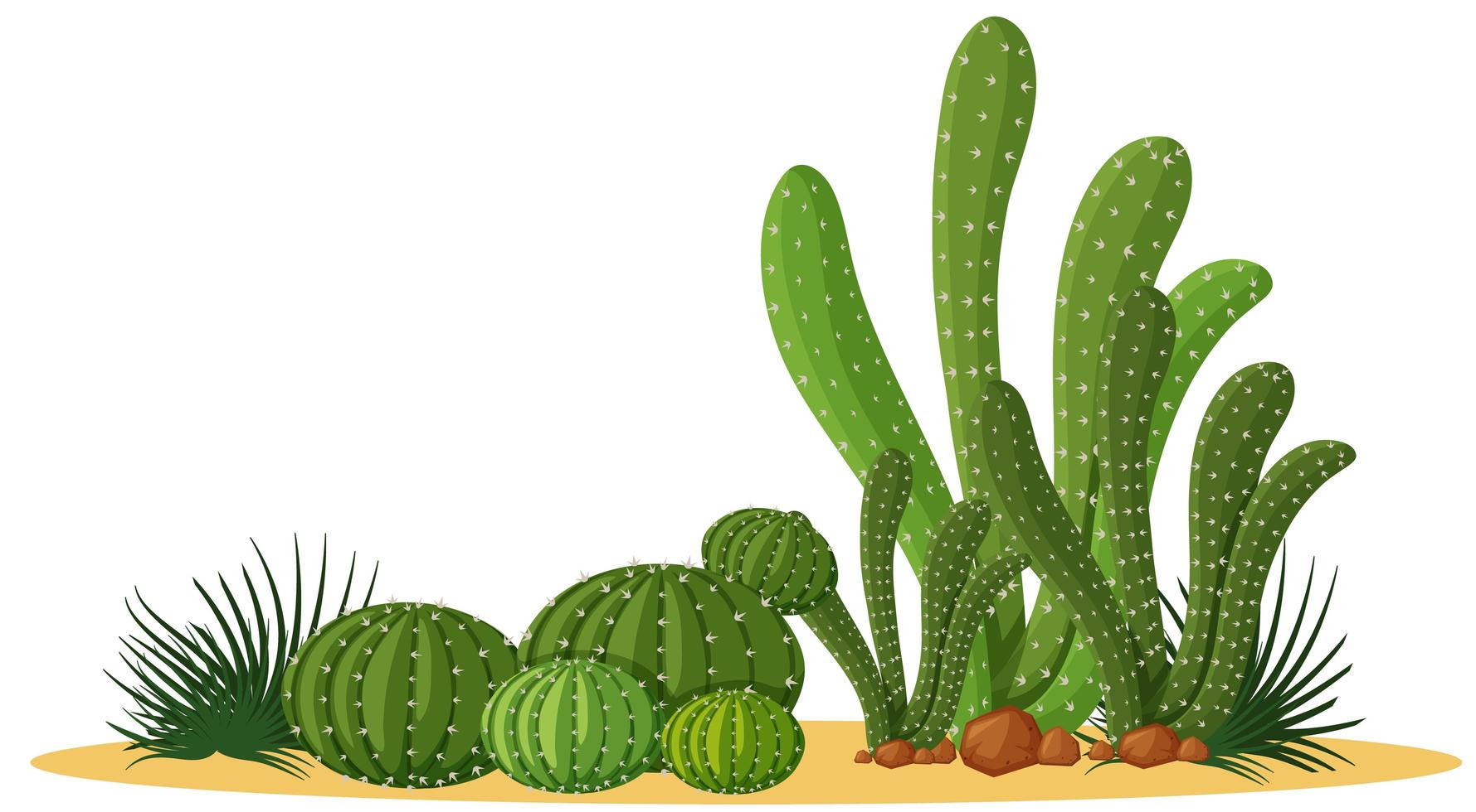 Natural cacti design vector