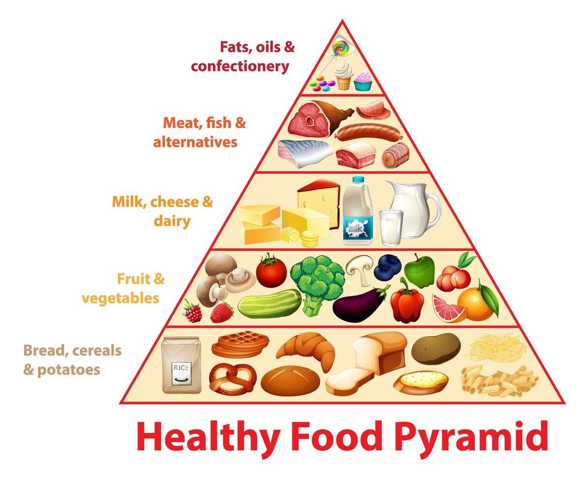 tabla educativa de la pirámide de alimentos saludables vector