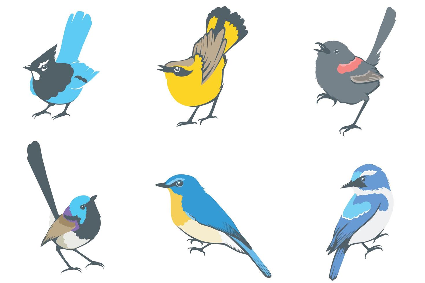 conjunto de diseño de pájaros pequeños vector