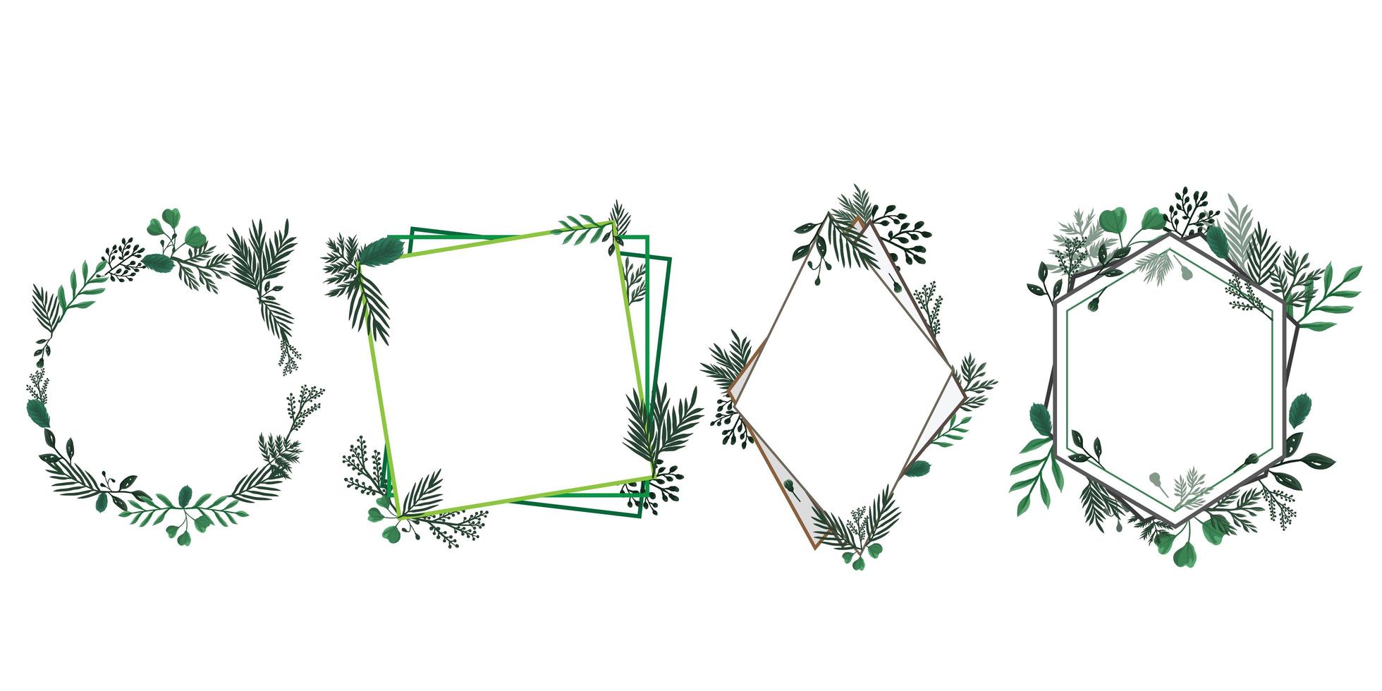 Set of floral and foliage frames vector