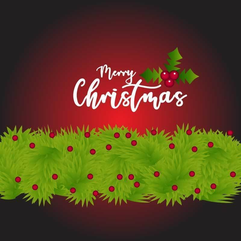Merry Christmas and Happy New Year vector