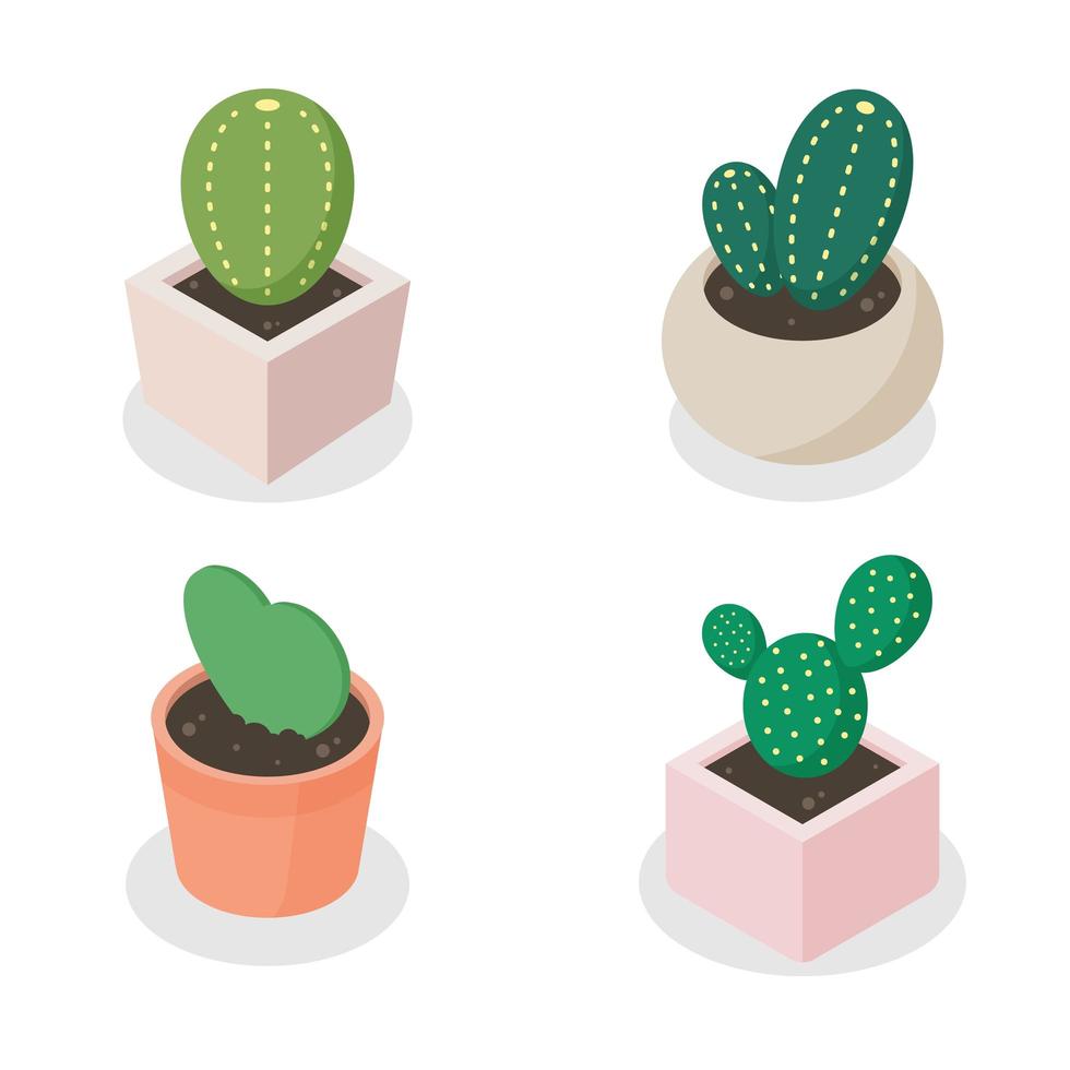 colección de pequeños cactus en vista isométrica vector