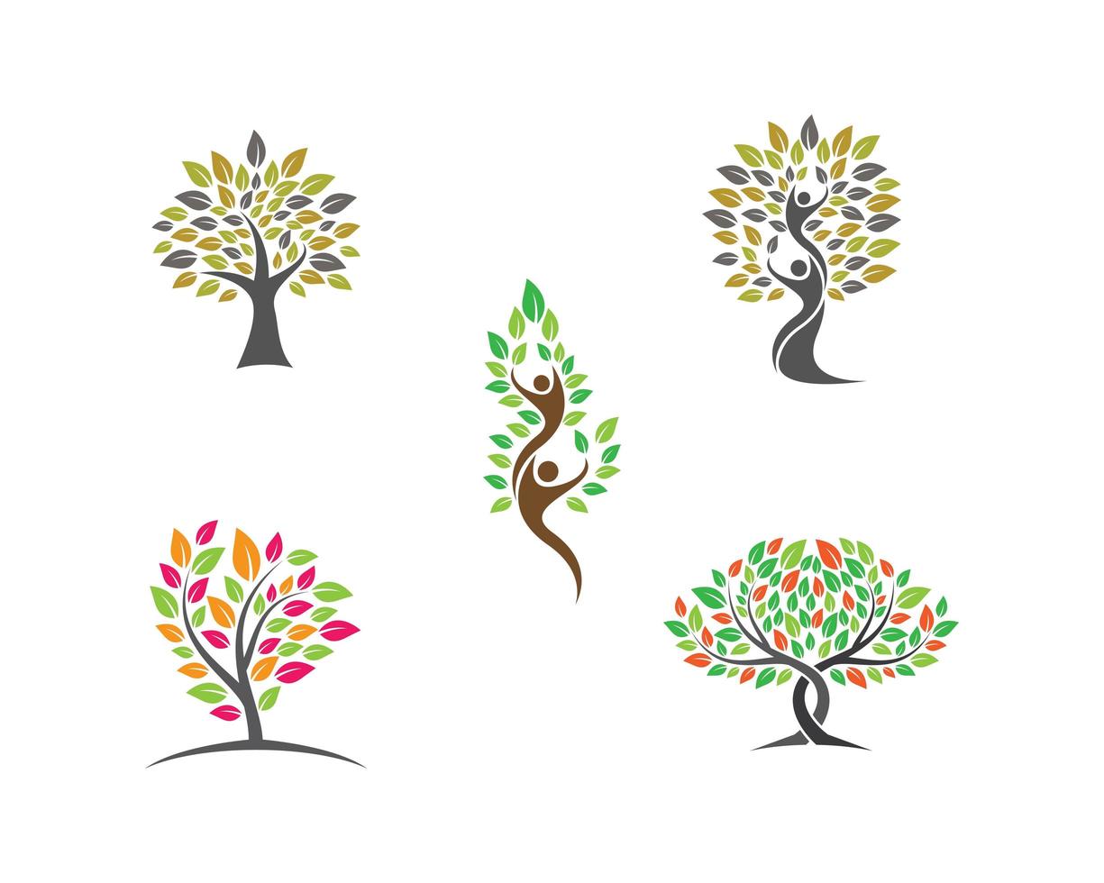 Set of tree logo images vector