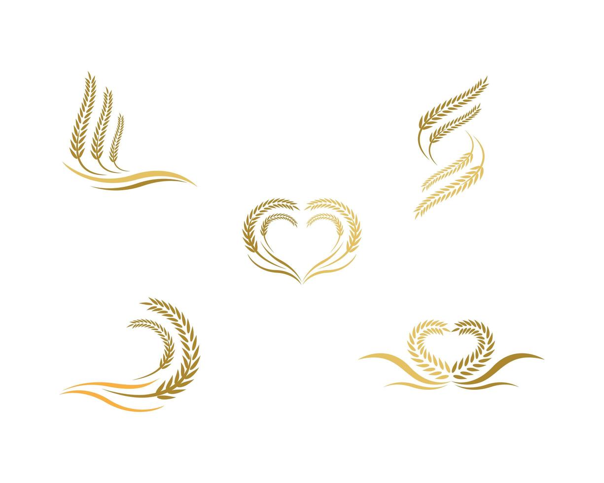 Set of wheat images design vector