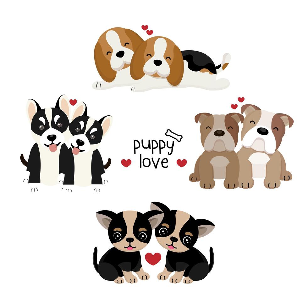 Set of cute animal couples together vector