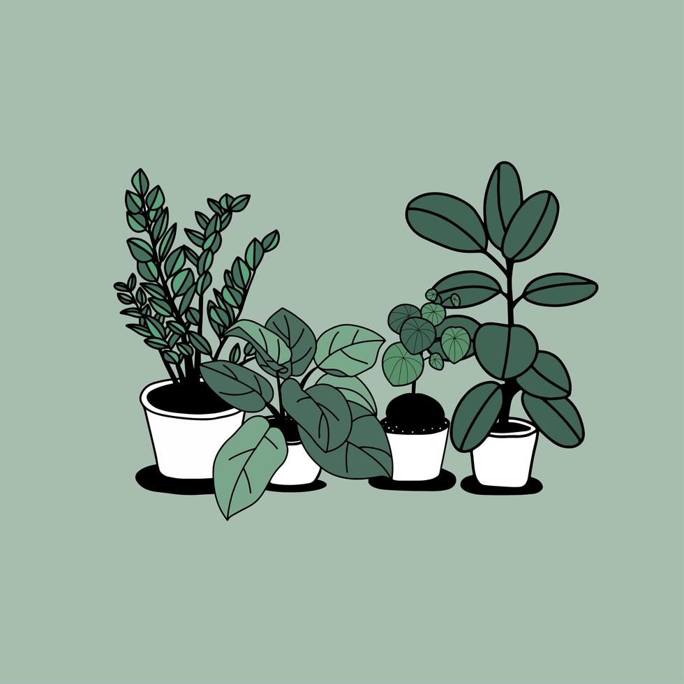 Hand-drawn house potted plants design  vector