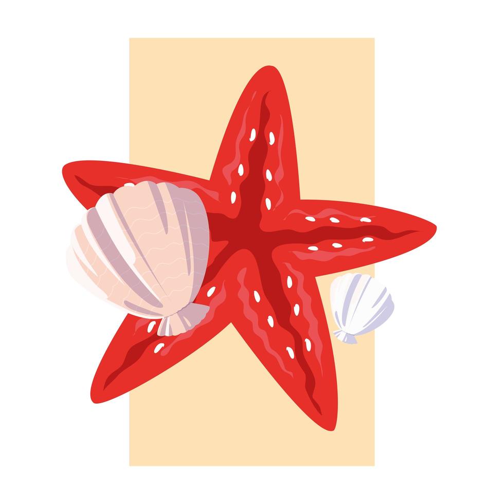 Ocean sea star and shell design vector