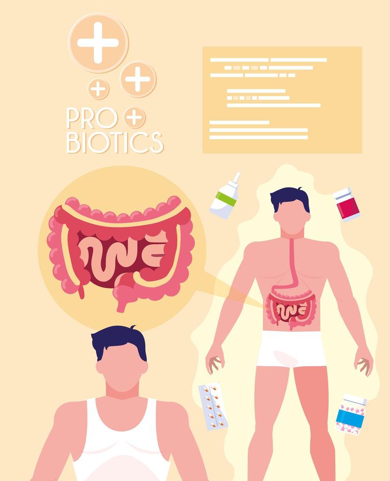 Bodies of man with medicines probiotics vector