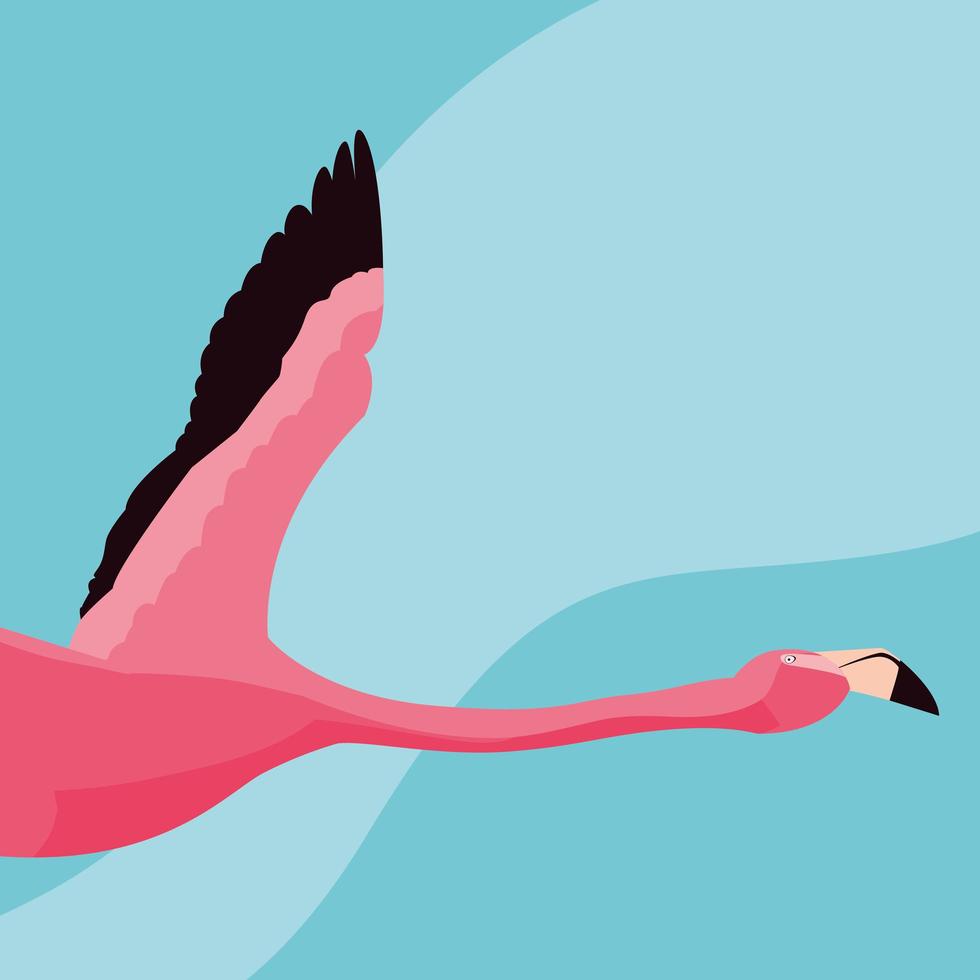 Beautiful flamingo bird flying vector