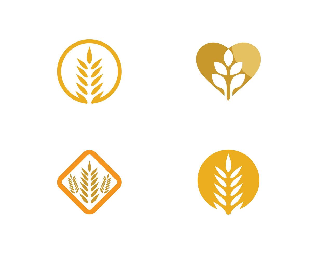 Wheat icon set vector