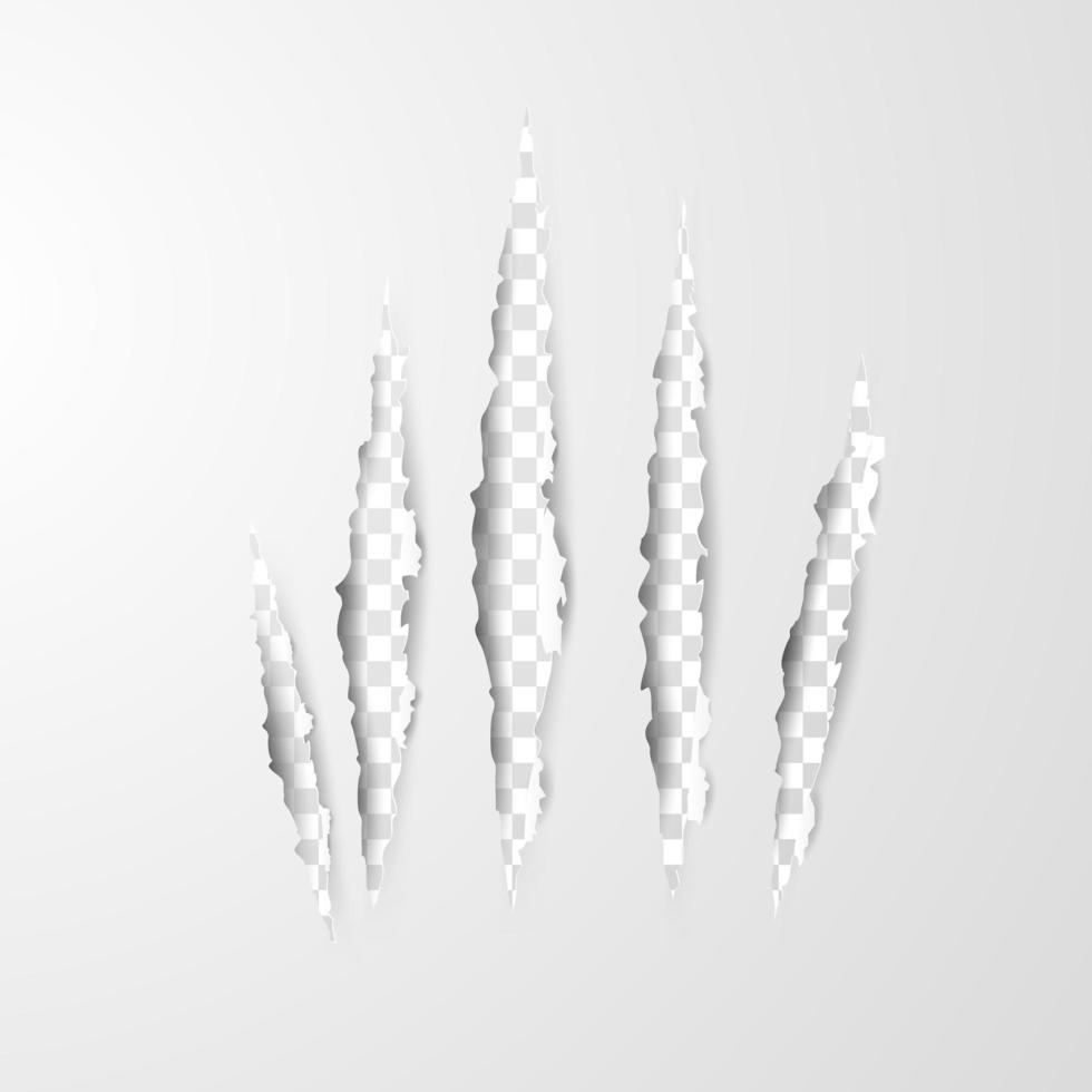 Paper Art Claw Scratches Isolated on Transparent Background vector