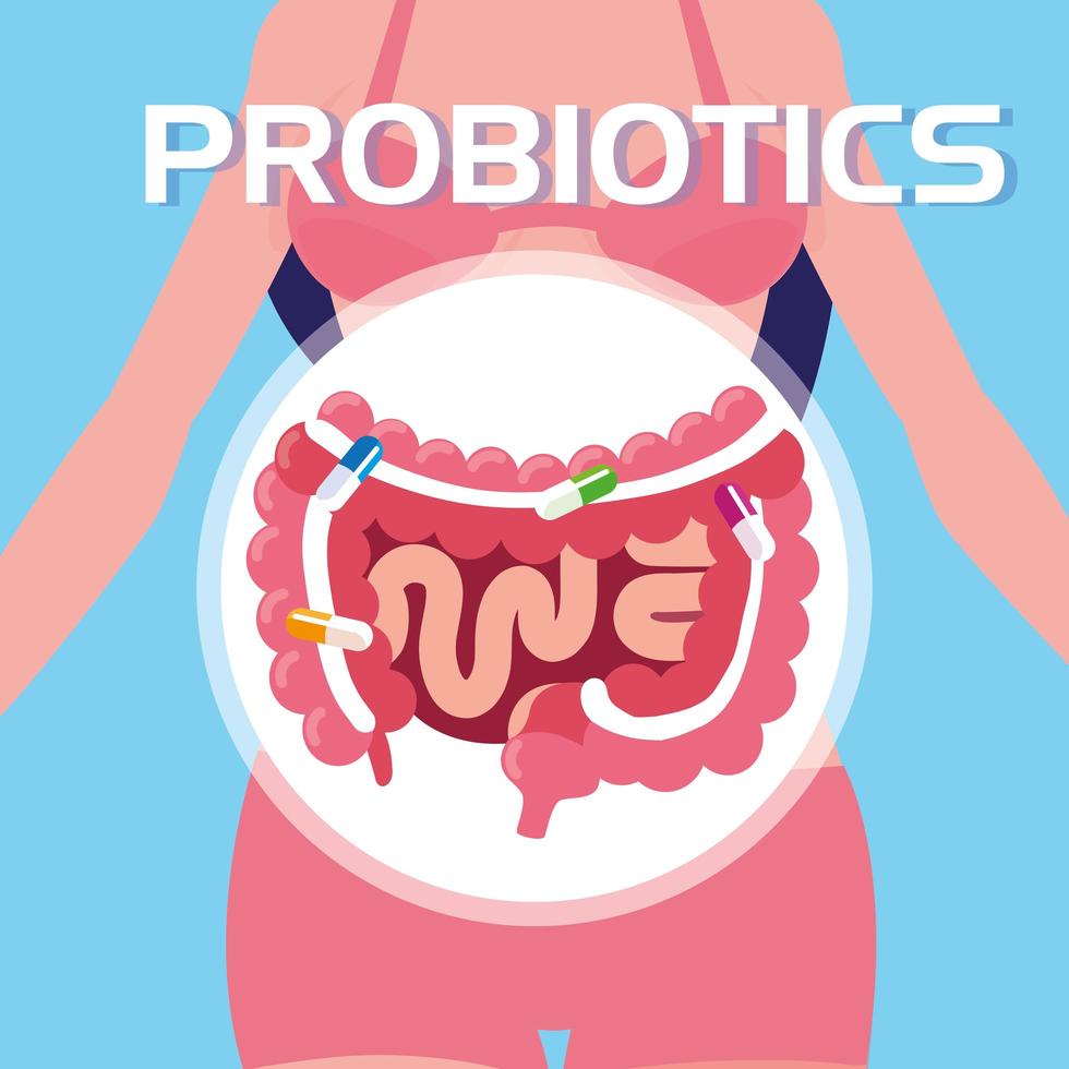 cuerpo de mujer con sistema digestivo vector