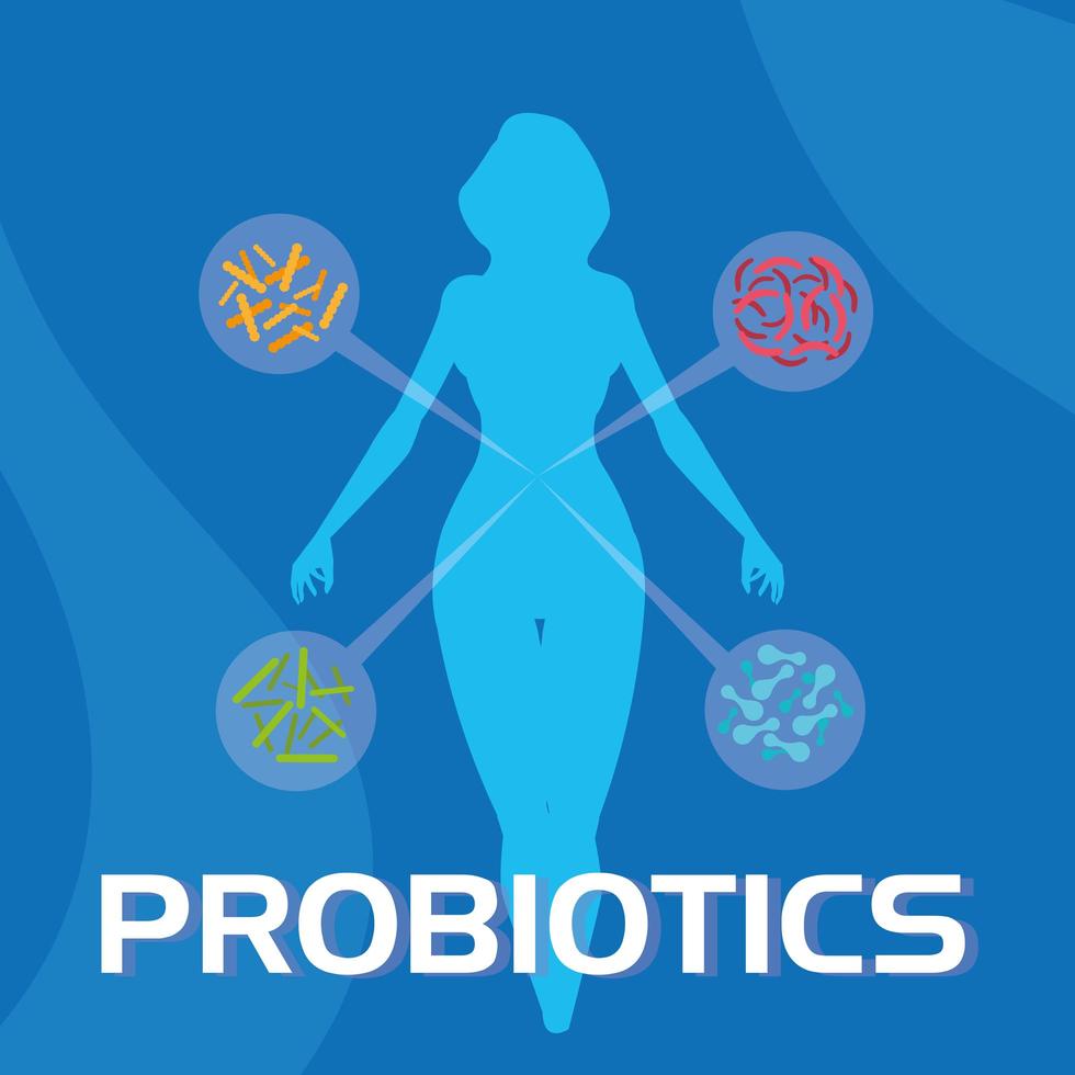 cuerpo de mujer con organismos probióticos vector