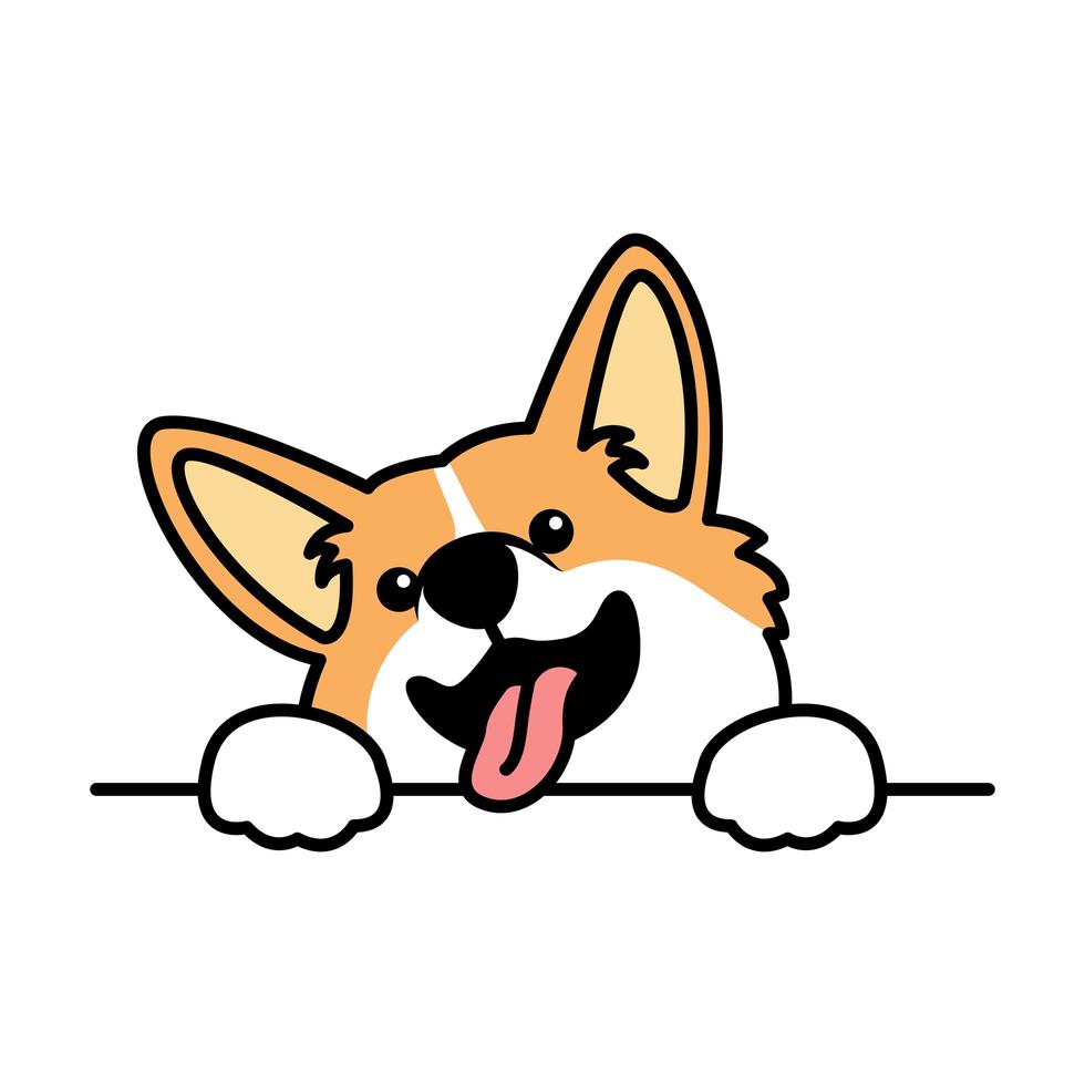 Lindo perrito welsh corgi paws sobre la pared vector