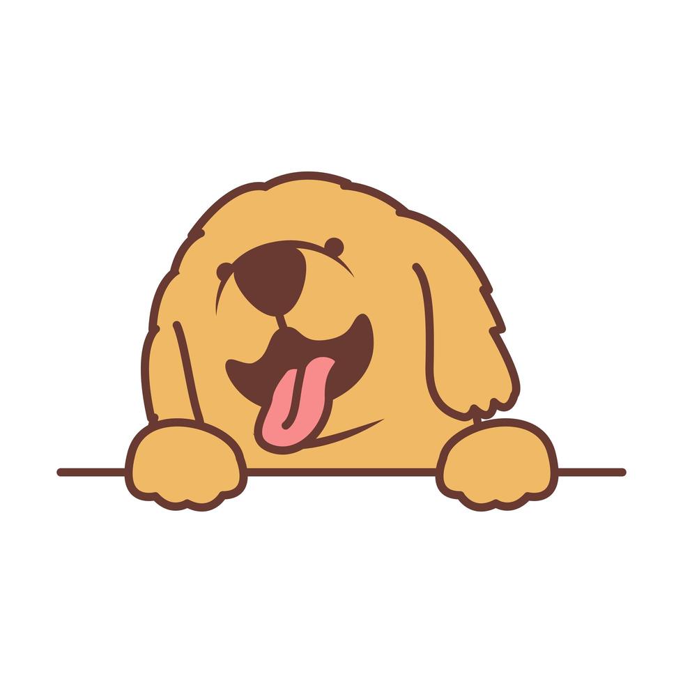 Cute golden retriever puppy paws up over wall vector