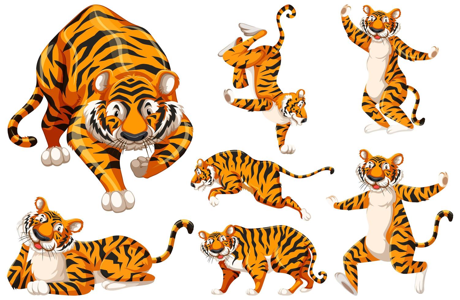 conjunto de caracteres de tigre vector