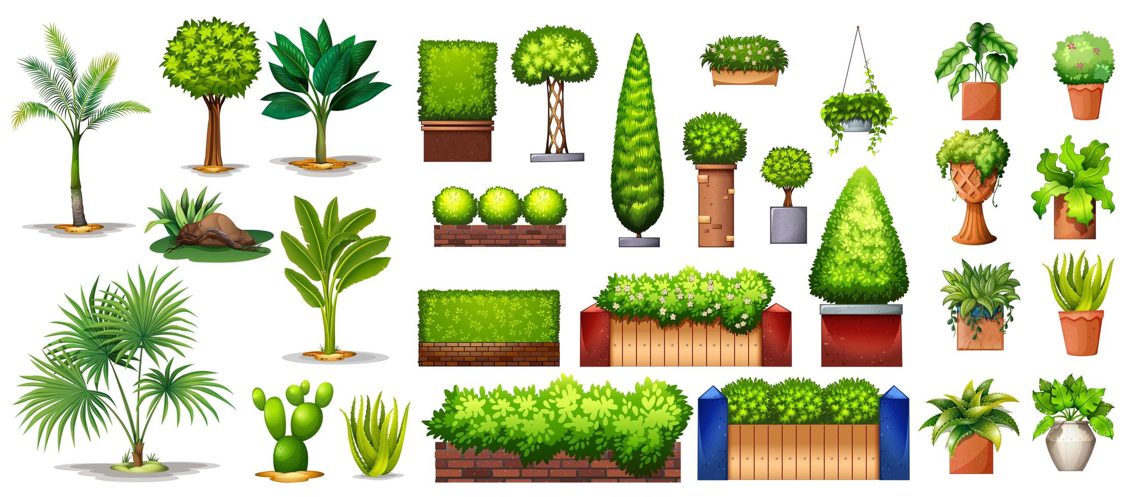 colección de especies de plantas y árboles vector