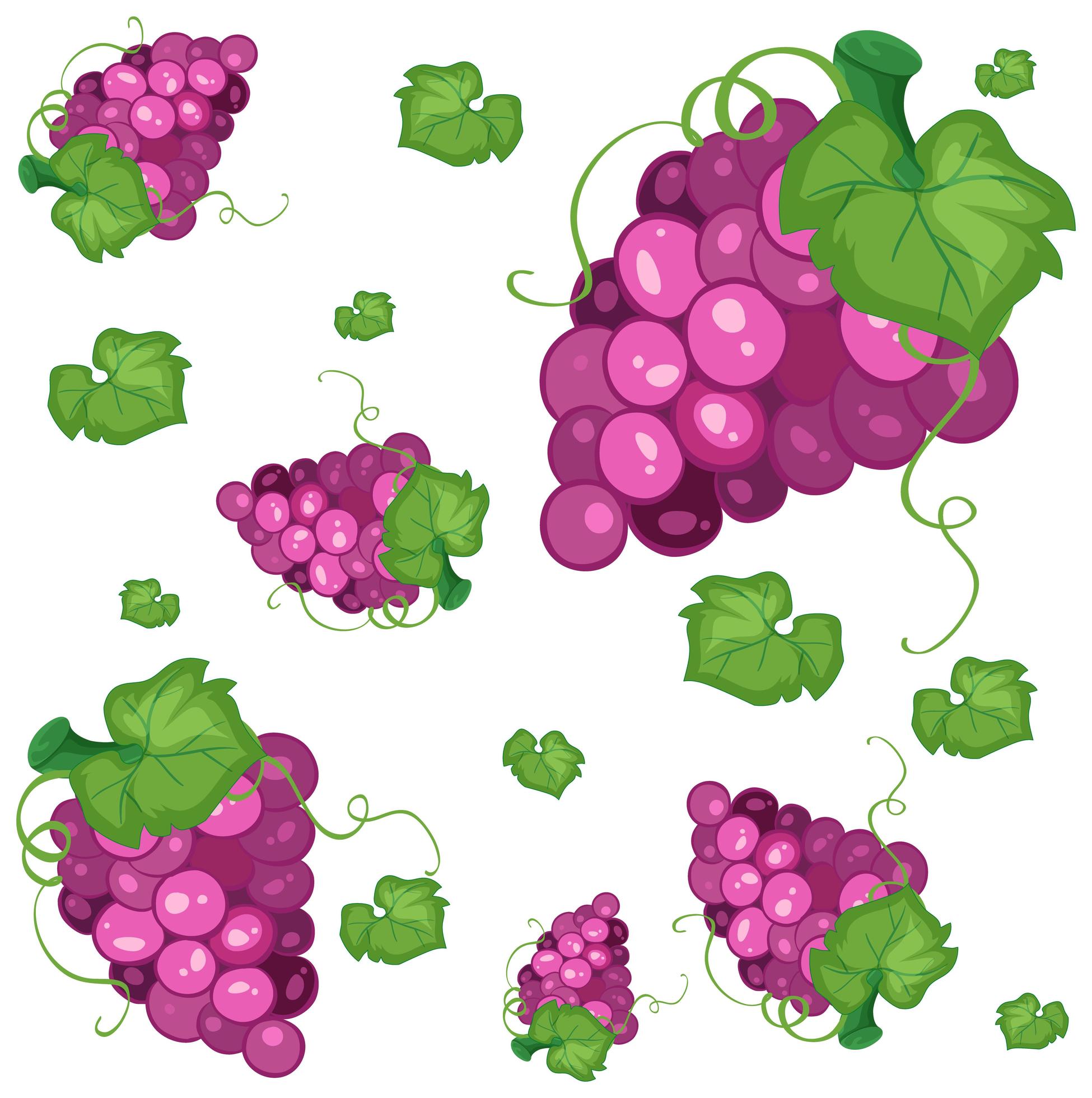 Seamless pattern background with purple grapes 1340556 Vector Art at