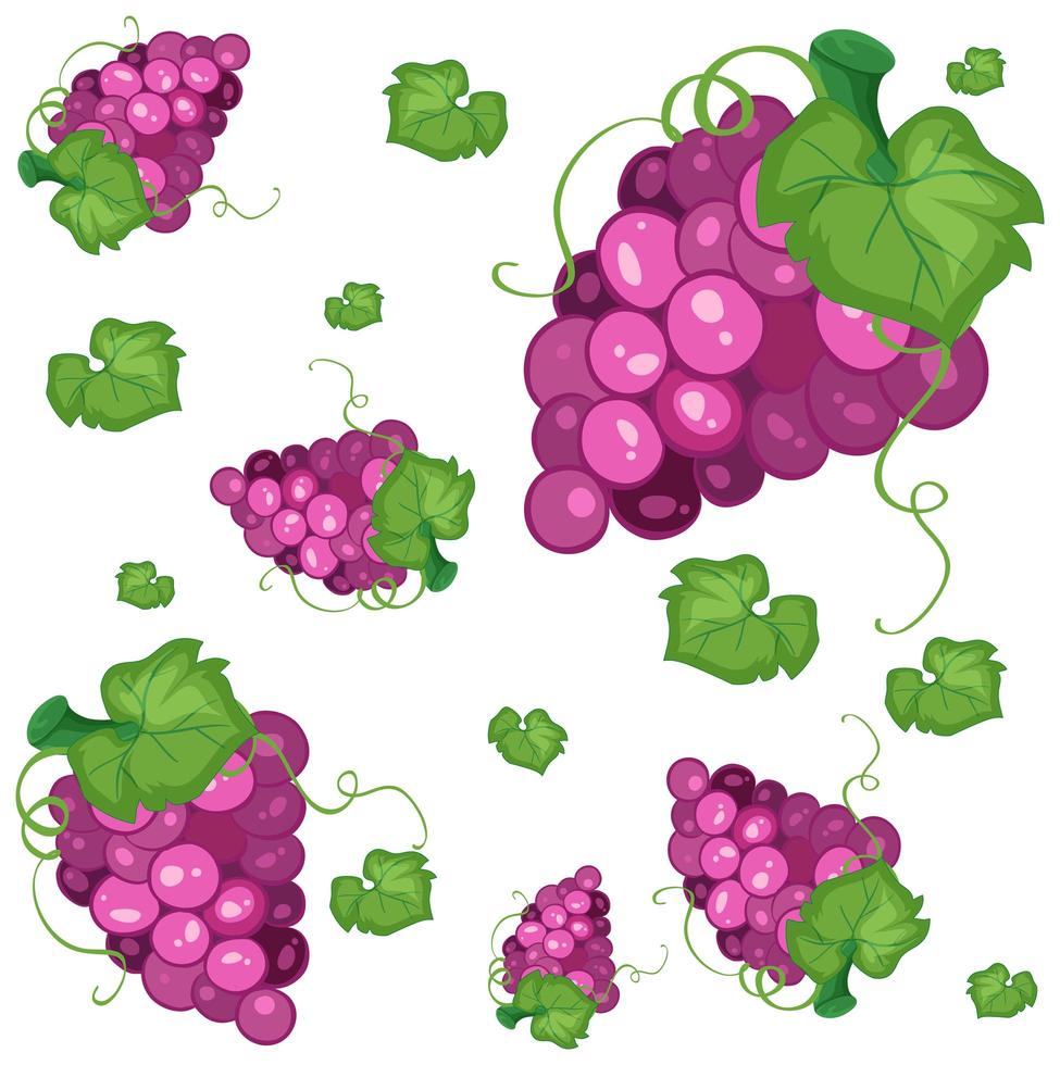 Seamless pattern background with purple grapes  vector