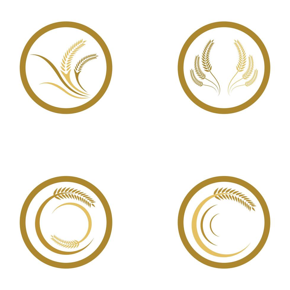 Wheat logo images set vector