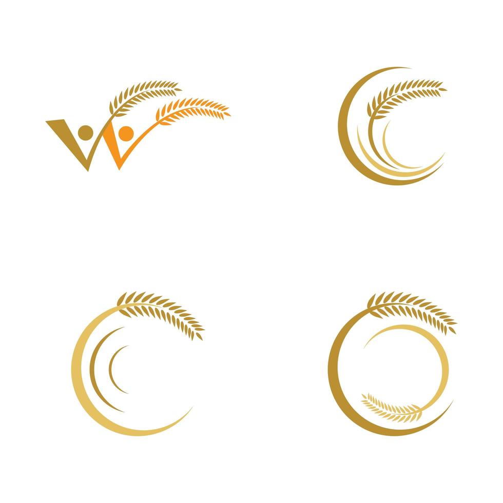 conjunto de imágenes de logotipo de trigo vector
