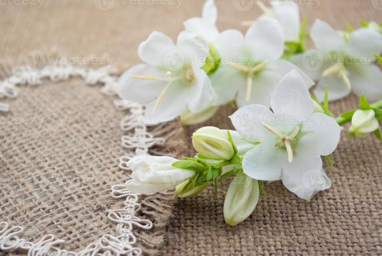 Campanula de flores blancas se encuentran en el corazón de tela áspera foto