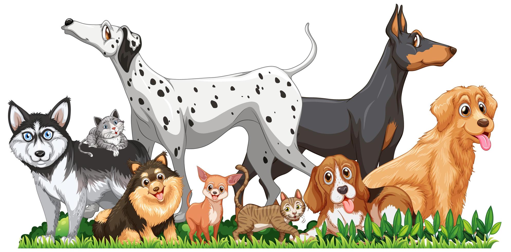 Cute different dogs group isolated vector