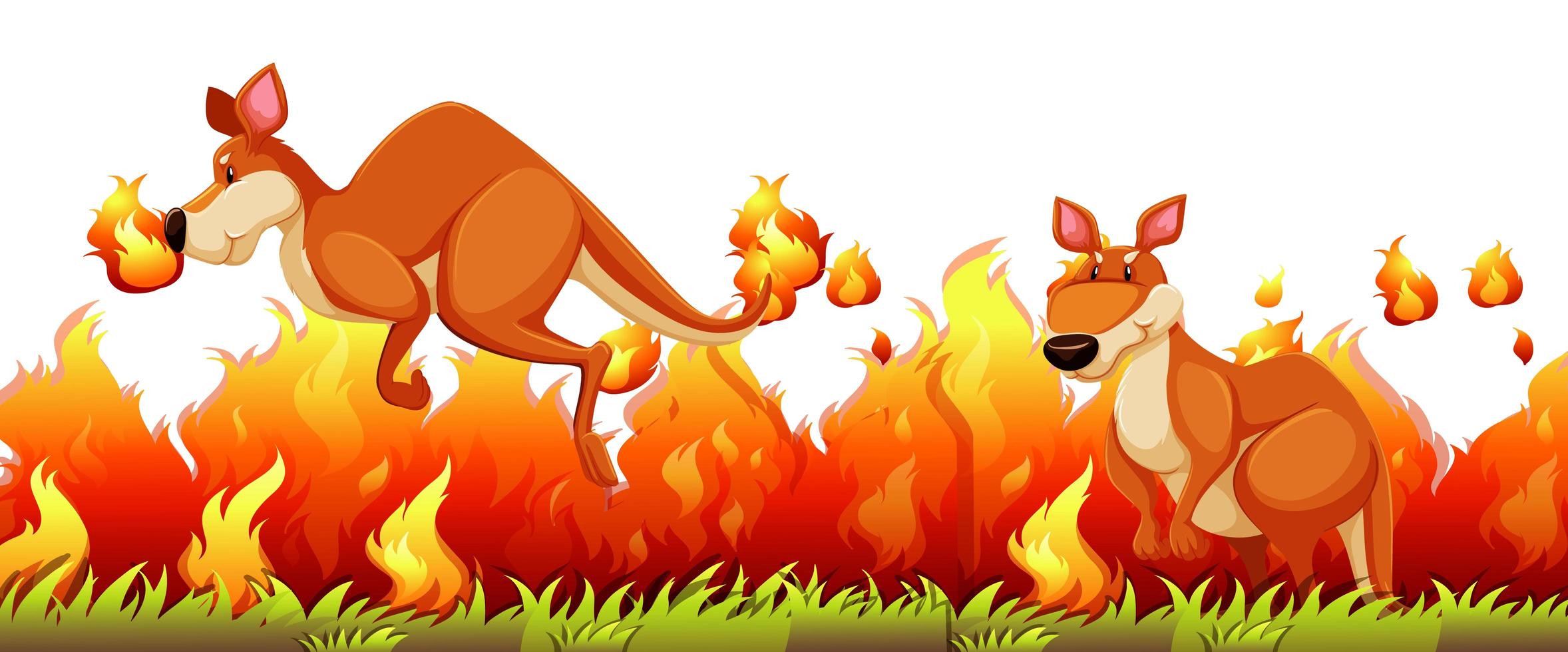 Kangaroo escape the bushfire vector