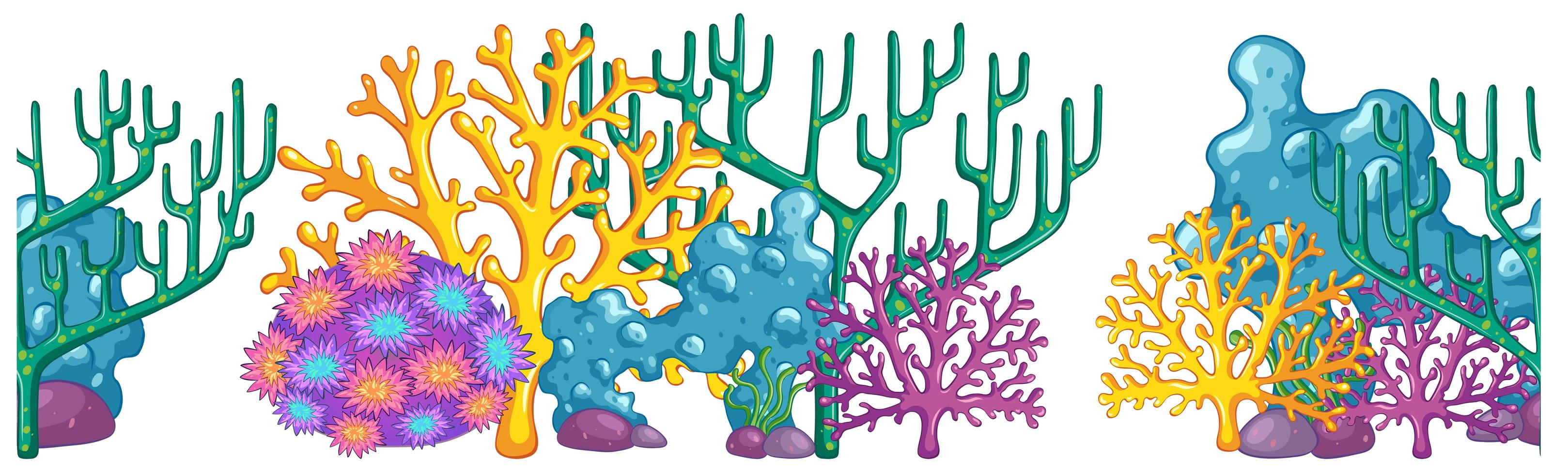 Coral reef background  vector