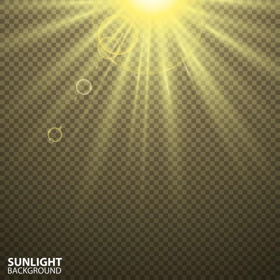 Transparent Sun Flash with Spotlight vector