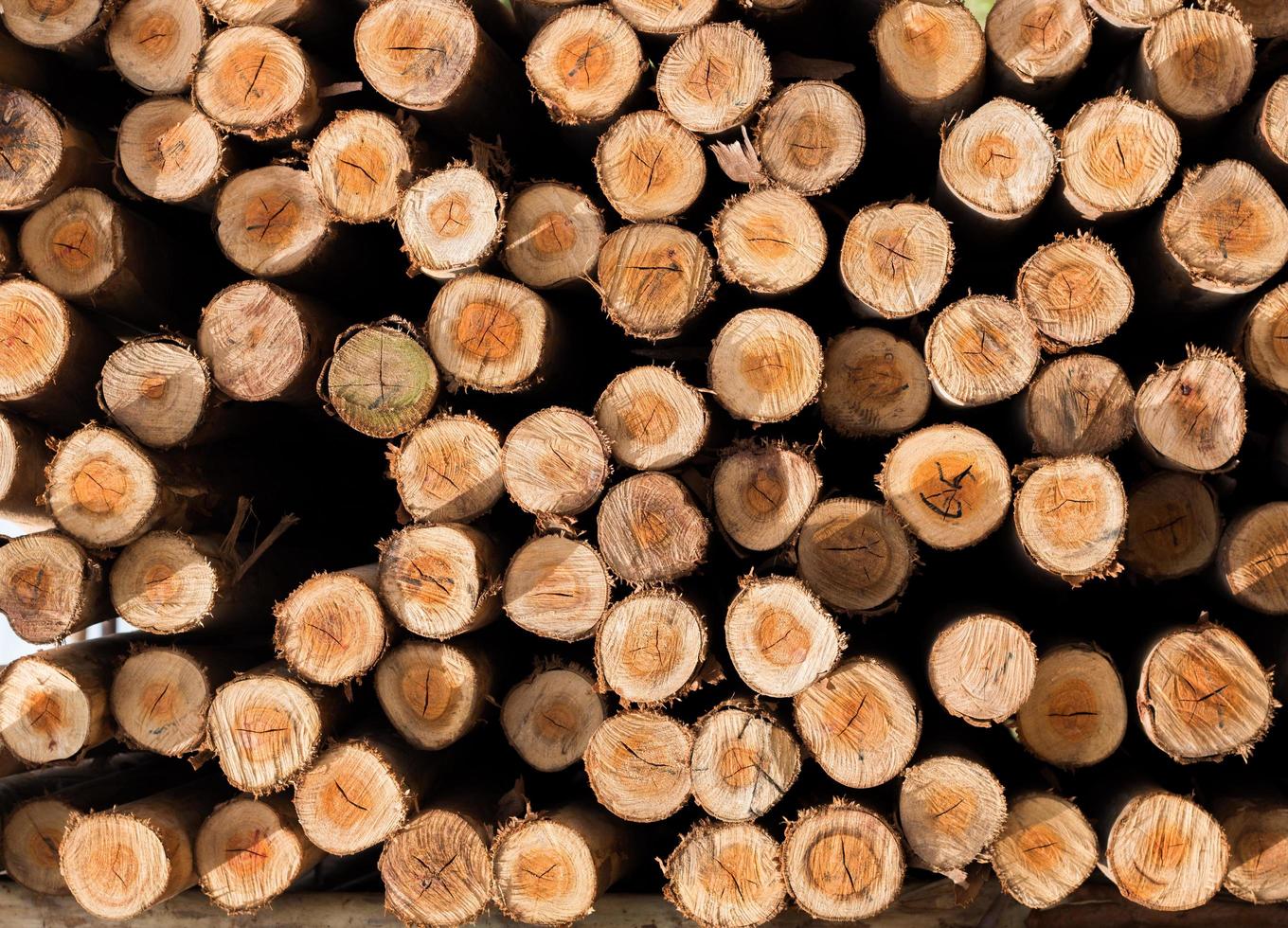 Close up of pile of wood logs photo