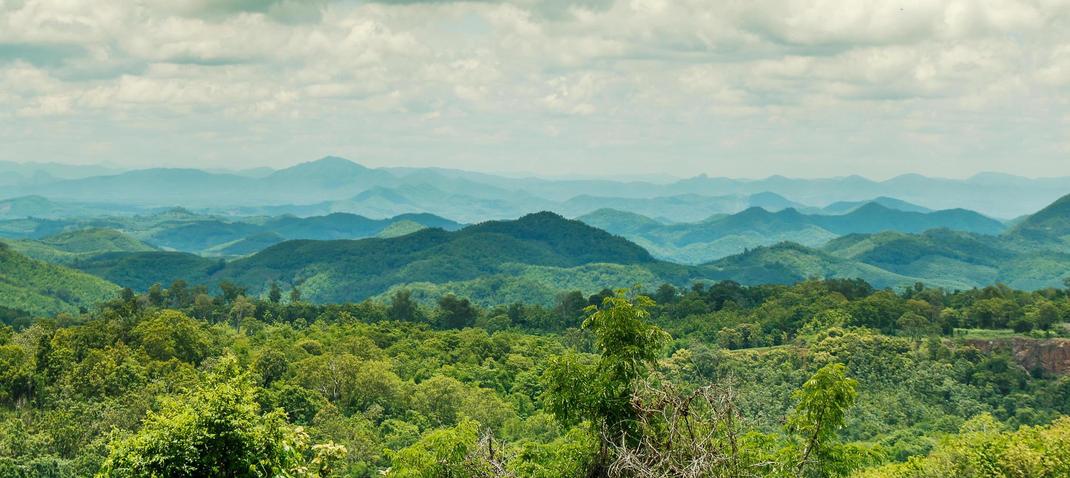 Mountains covered with forest photo