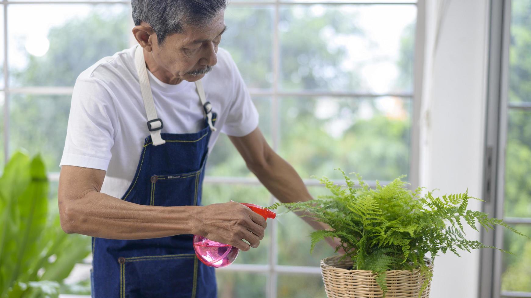 Anciano asiático rociando plantas de interior foto