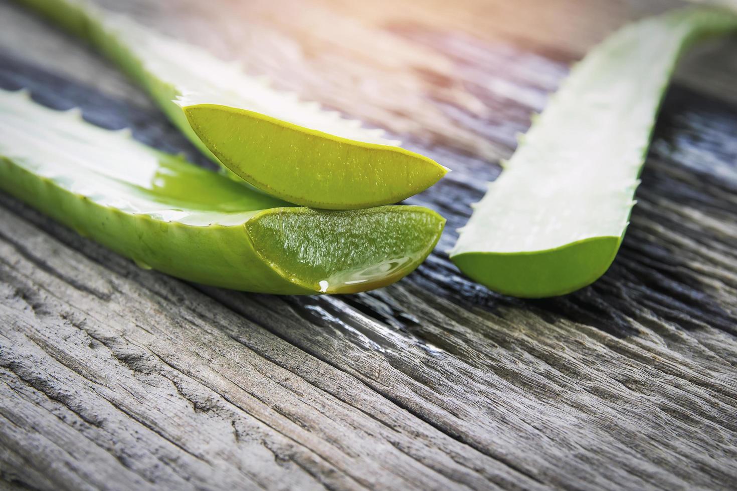 Aloe vera leaves  photo