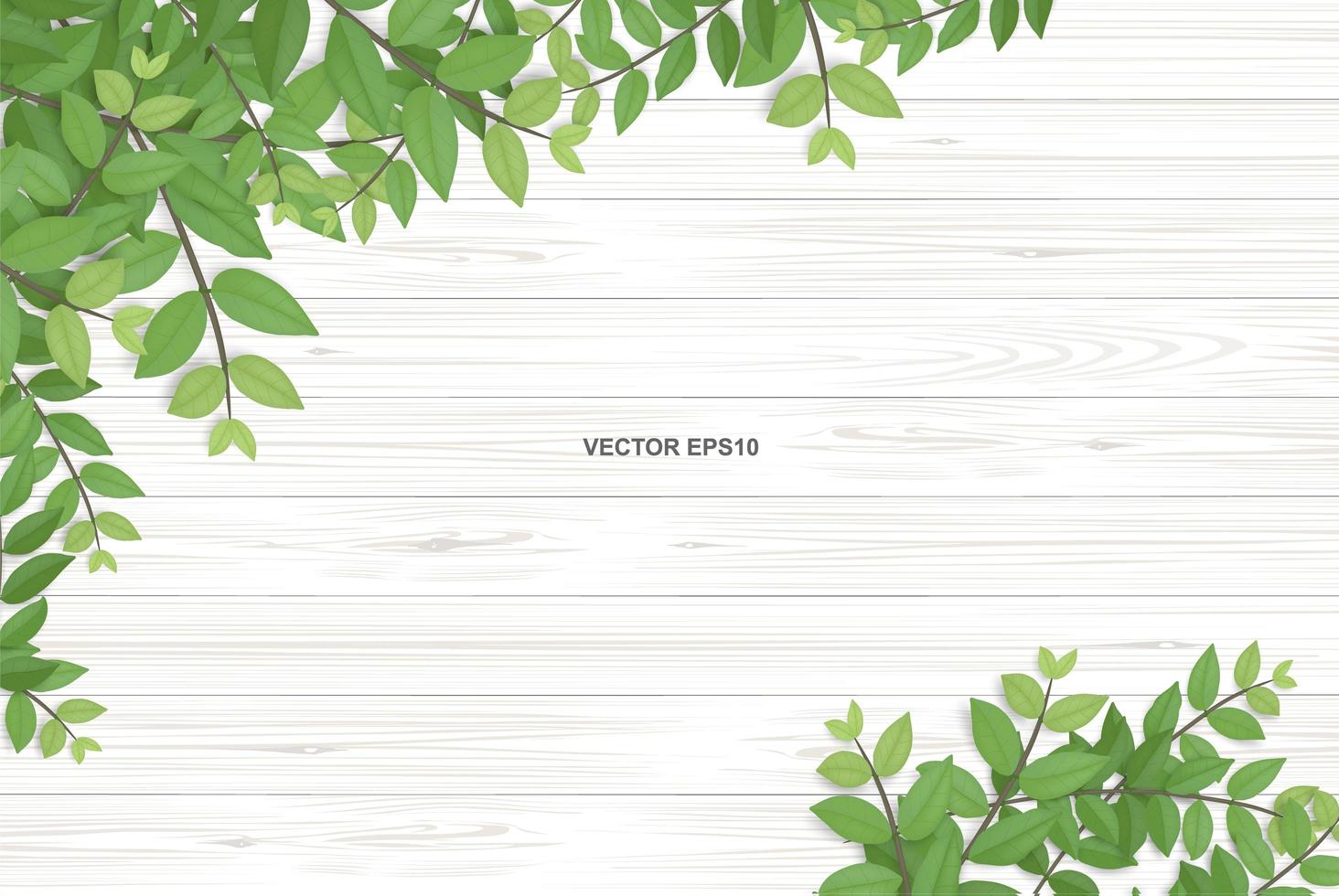 Wood texture with green leaves in corners vector