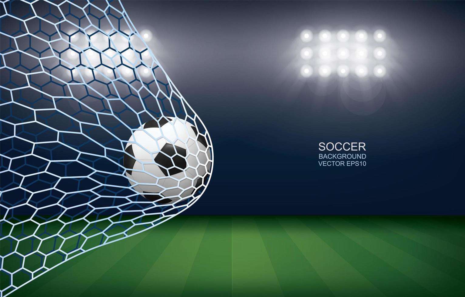 Soccer or football in goal in stadium at night vector