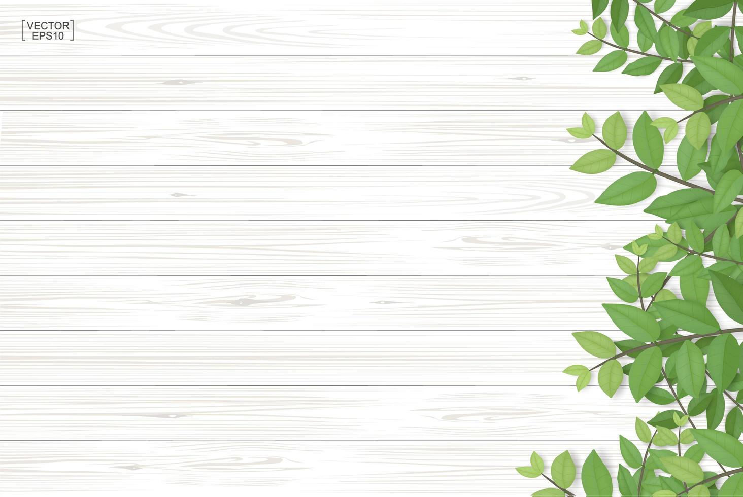 Wood texture with green leaves along right border vector