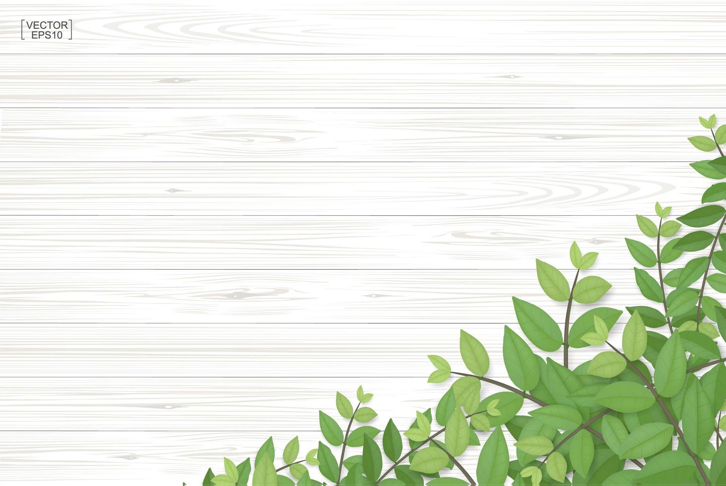 Wood texture with green leaves in bottom corner vector