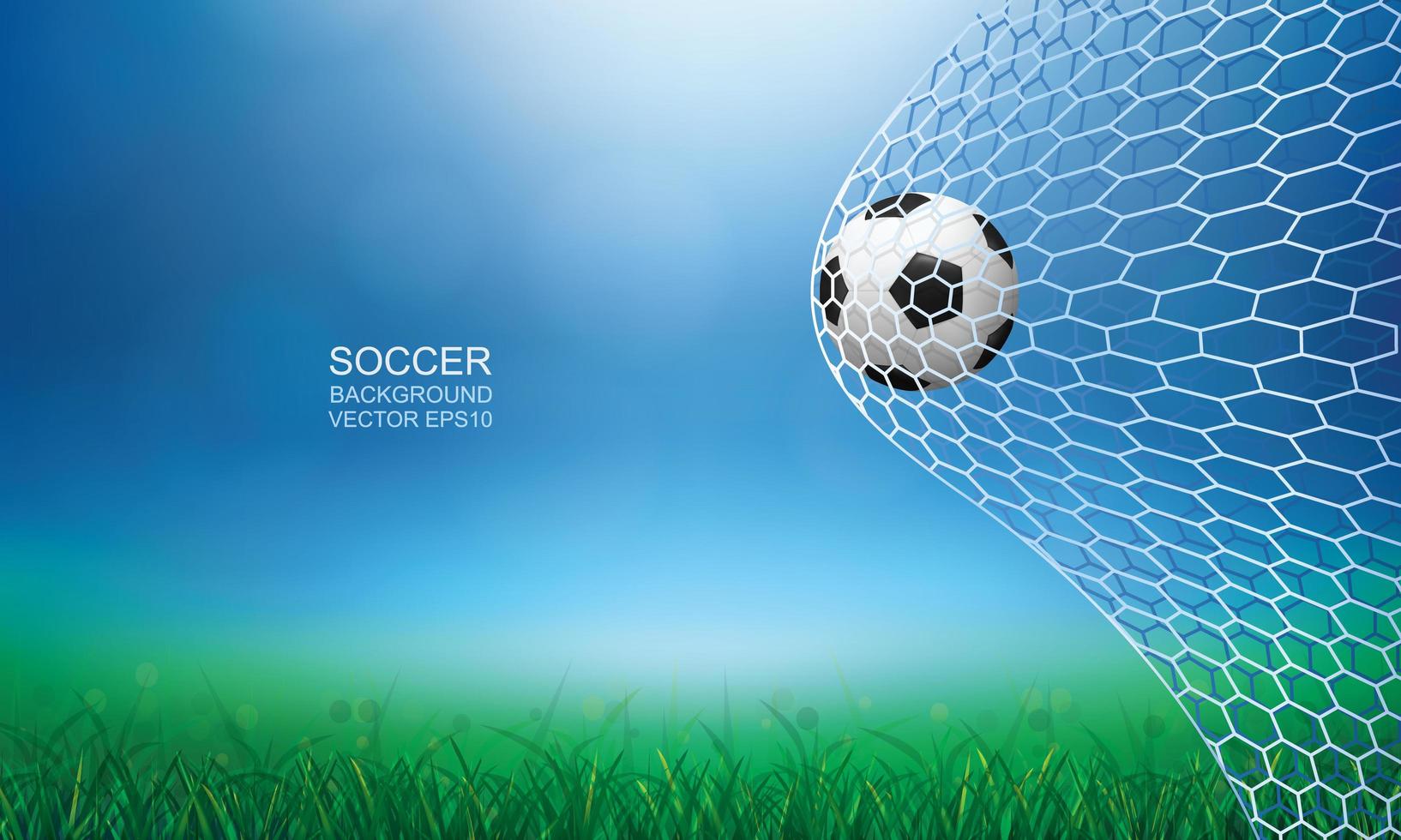 Soccer or football in net with outdoor scene vector