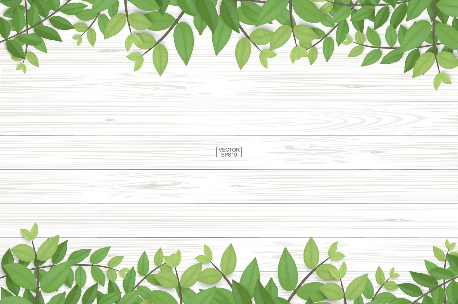 Wood texture with green leaf top and bottom border vector