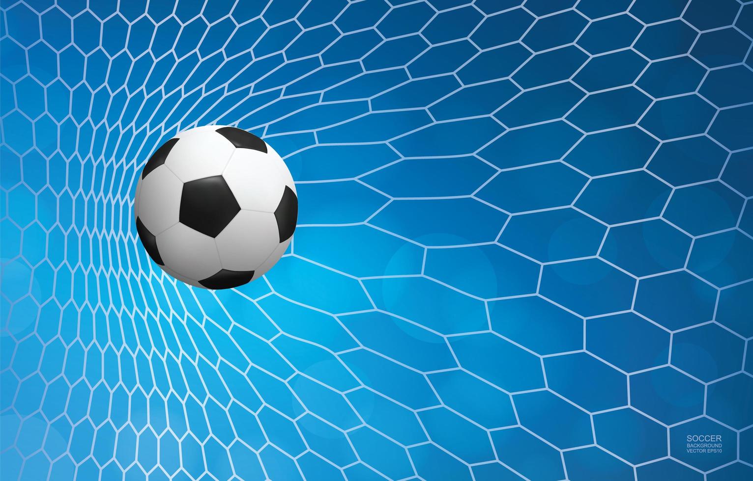 Soccer or football ball in white net on blue vector