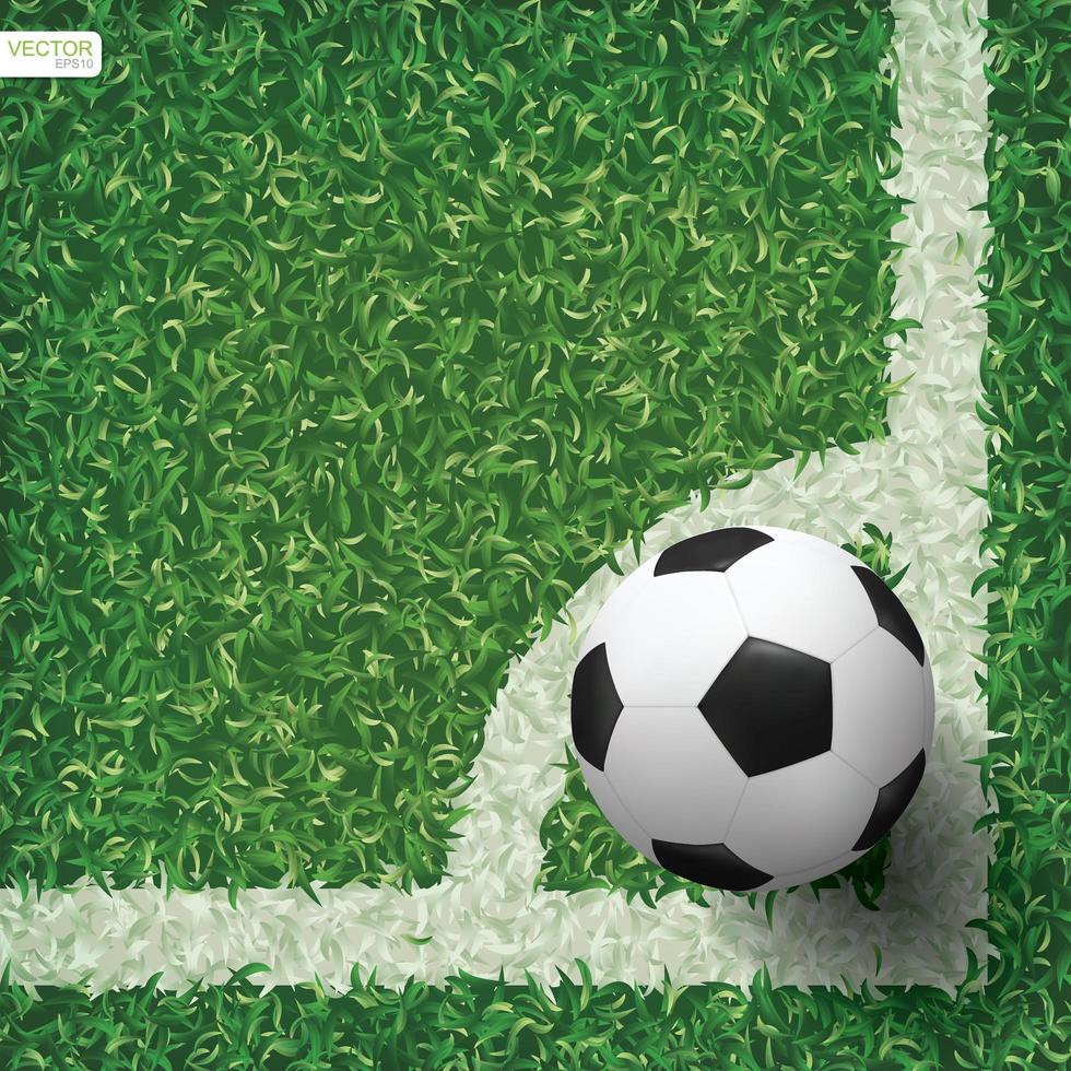 Soccer or football in corner area of soccer field vector