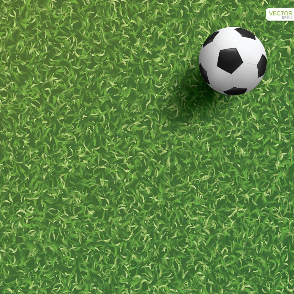 Soccer or football on grass corner of soccer field vector