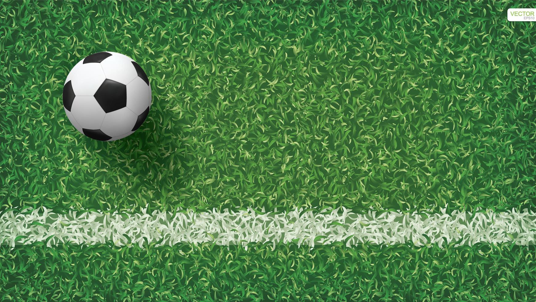 Soccer or football on soccer field vector