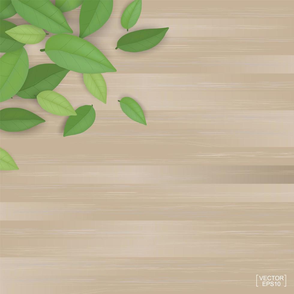 Green leaves on square wood plank texture vector