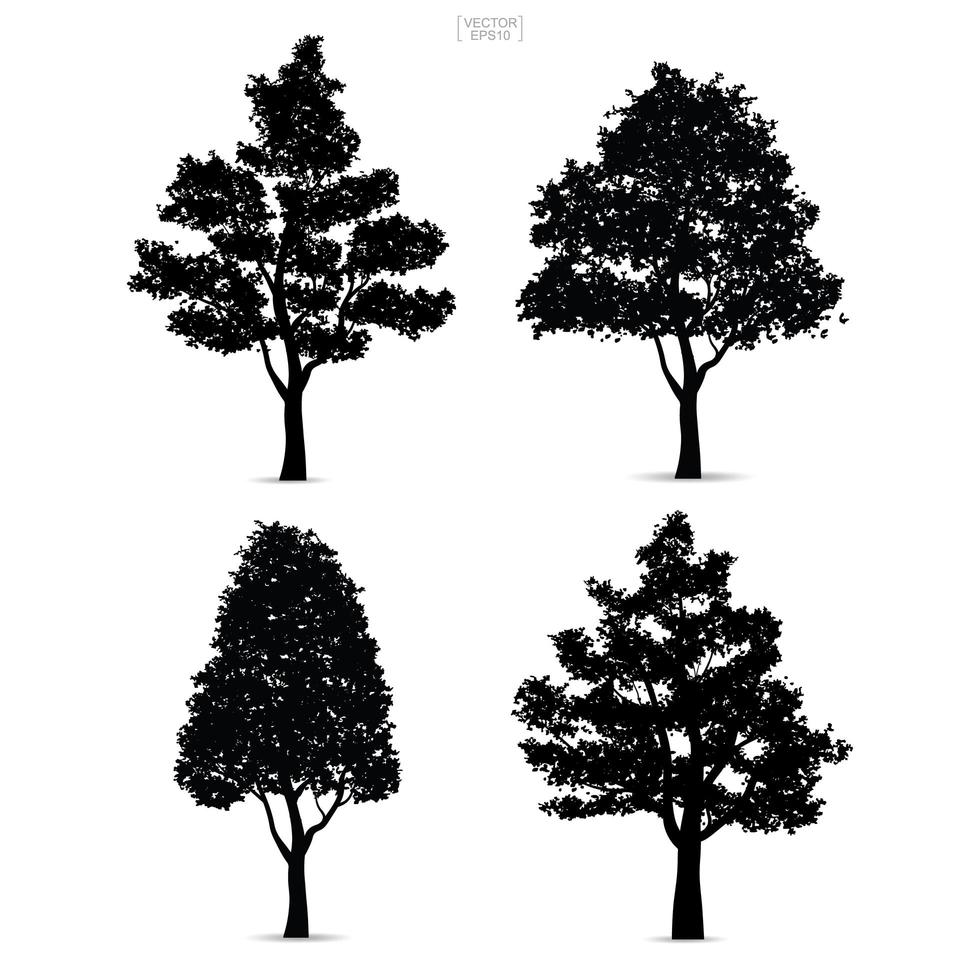 Tree silhouettes isolated on white vector