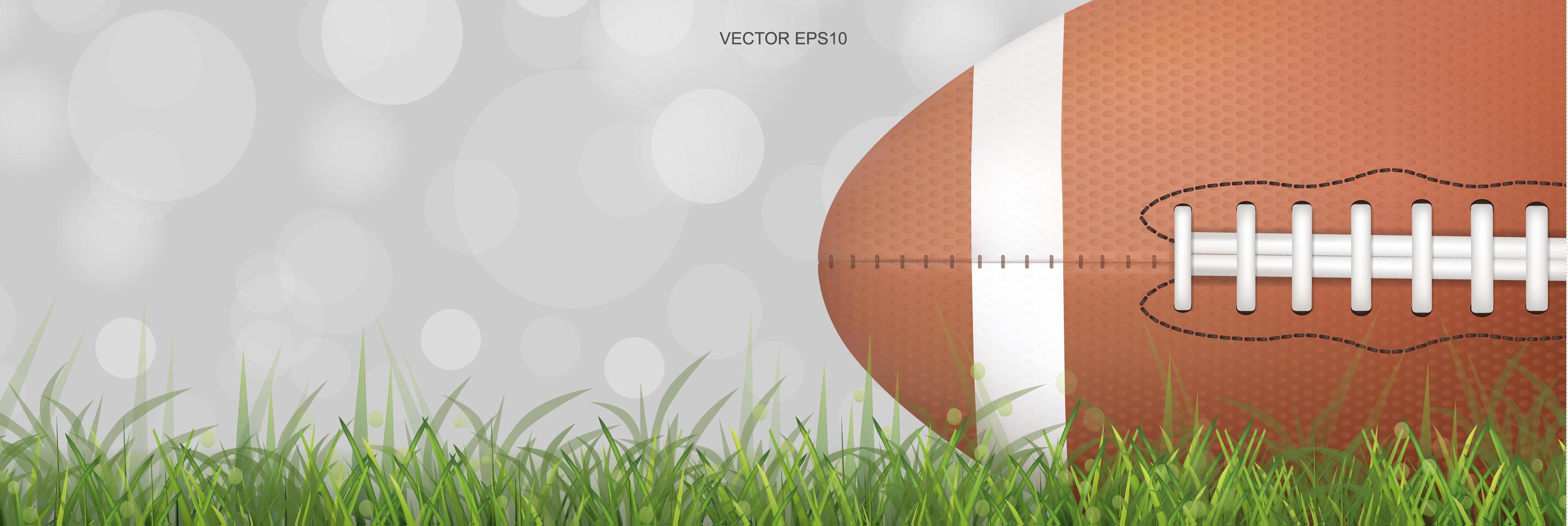 Horizontal football on green grass field vector
